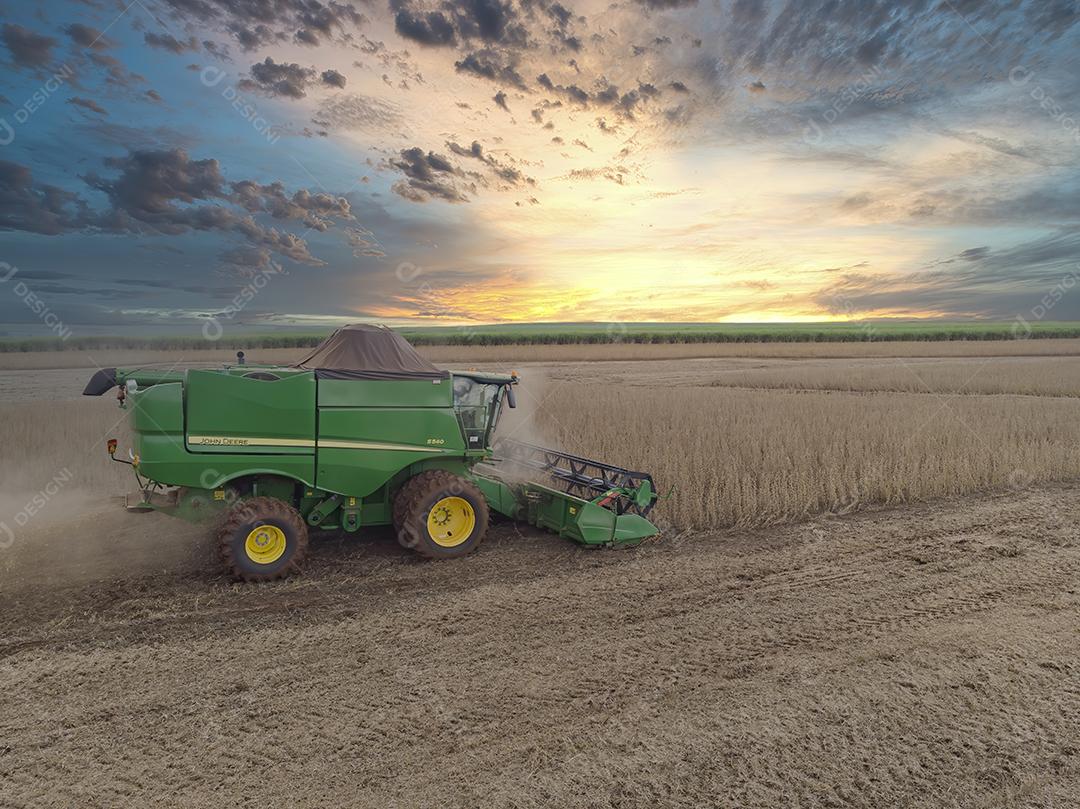 Trator agrícola colhendo soja no campo Imagem JPG