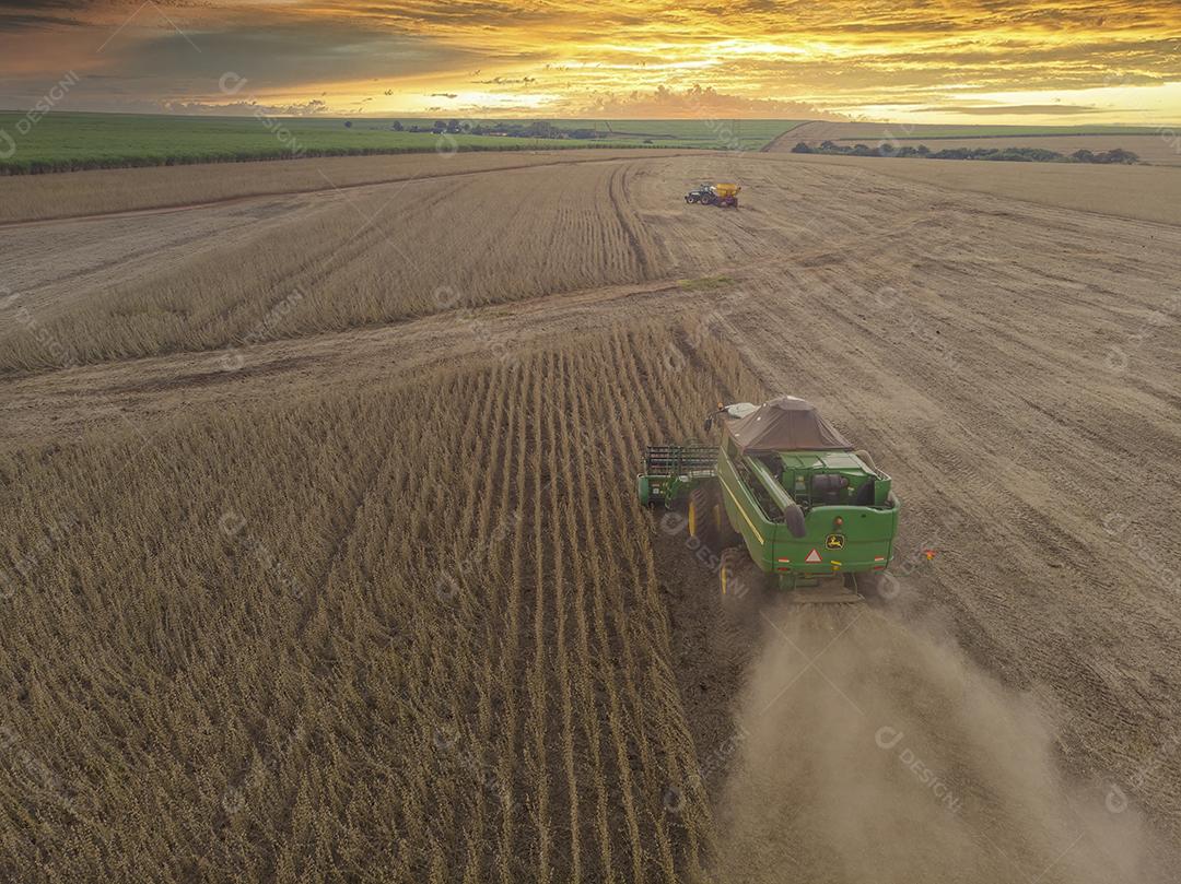 Trator agrícola colhendo soja no campo Imagem JPG