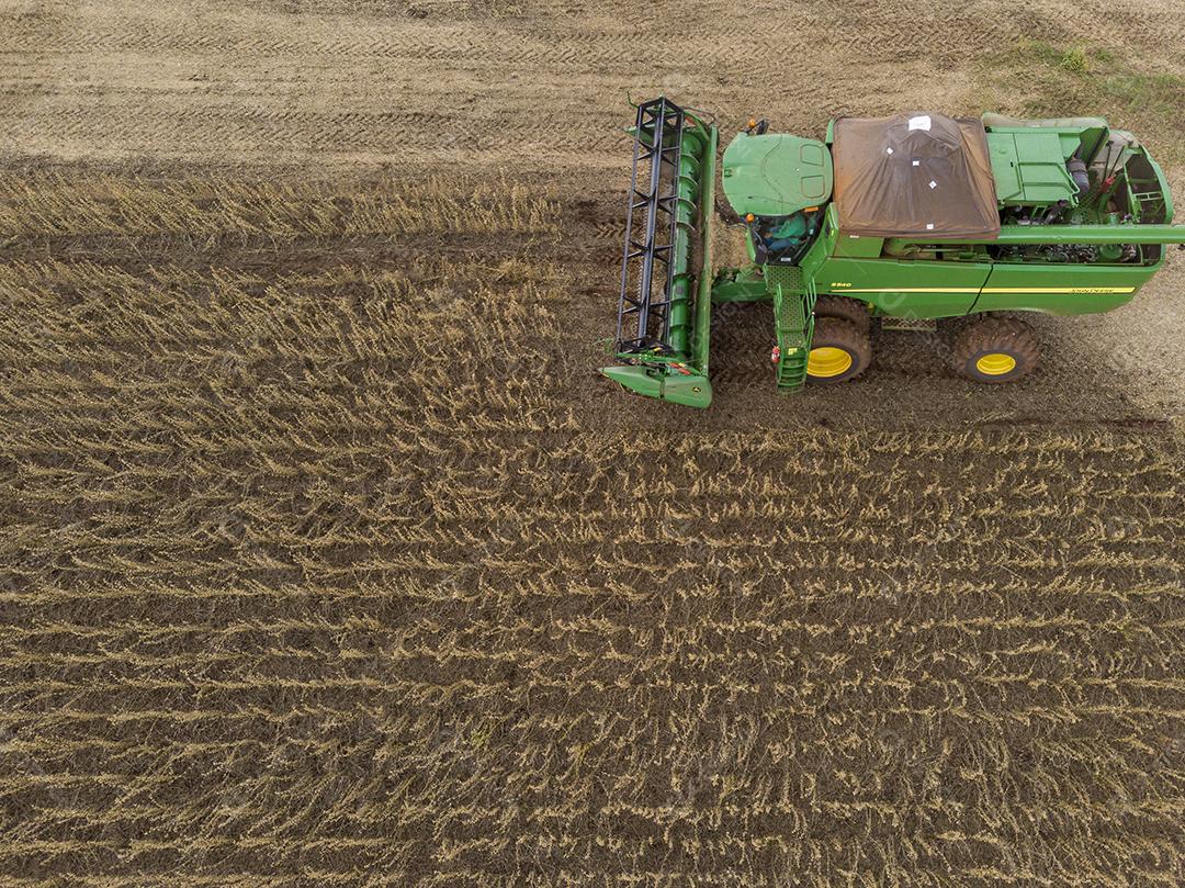 Trator agrícola colhendo soja no campo Imagem JPG