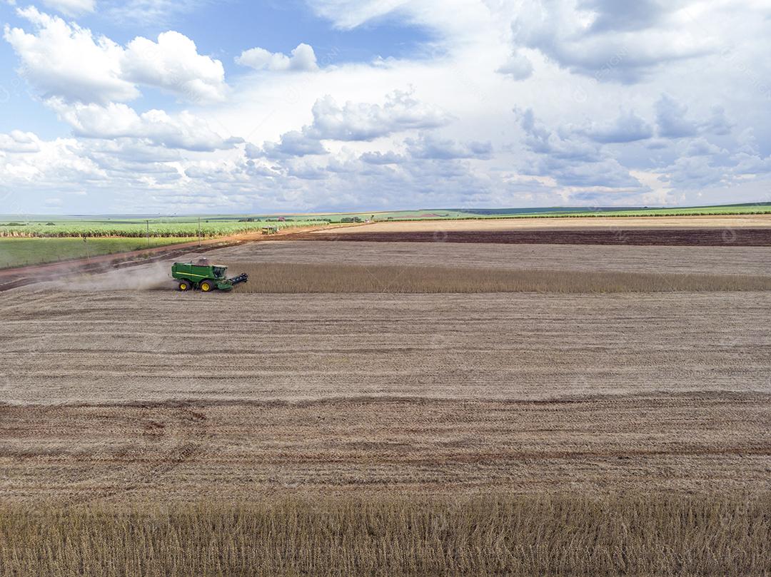 Trator agrícola colhendo soja no campo Imagem JPG