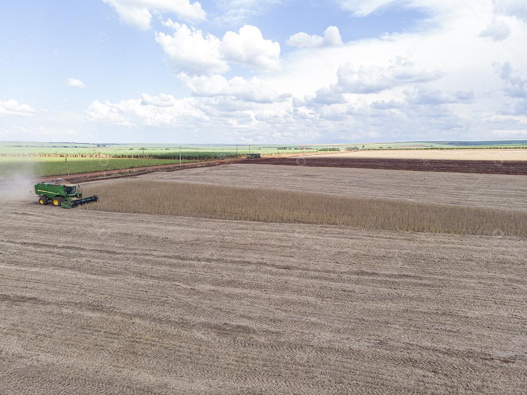 Trator agrícola colhendo soja no campo Imagem JPG