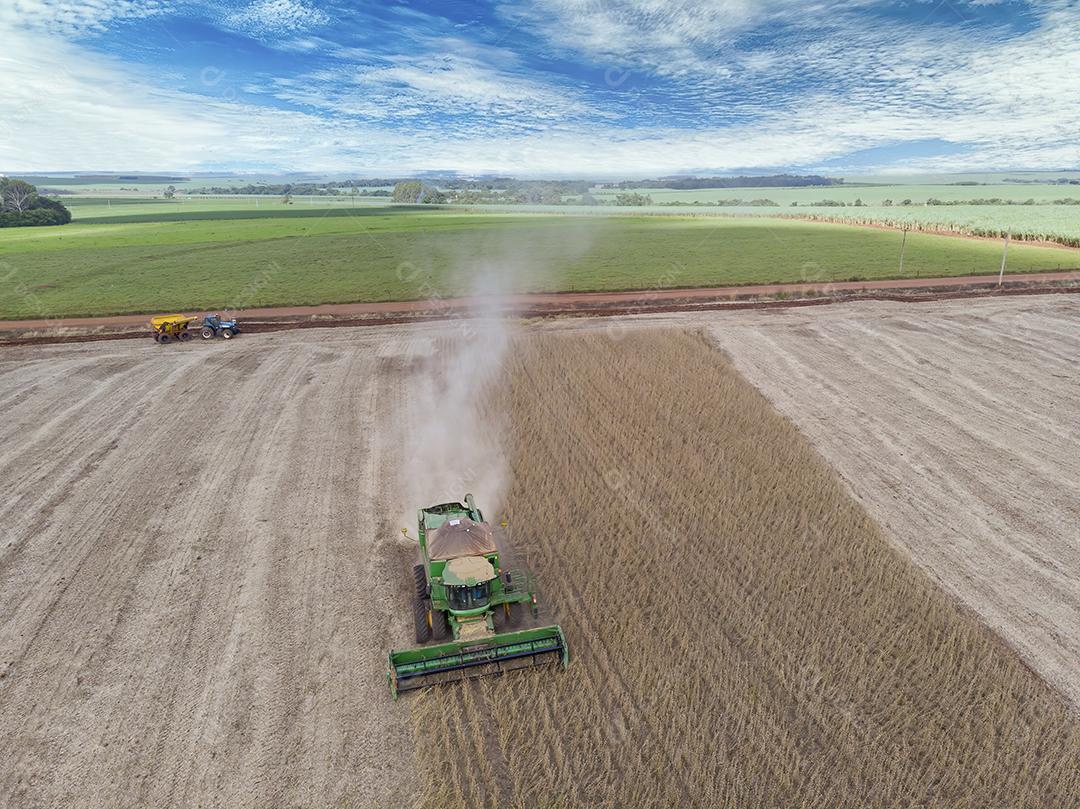 Trator agrícola colhendo soja no campo Imagem JPG