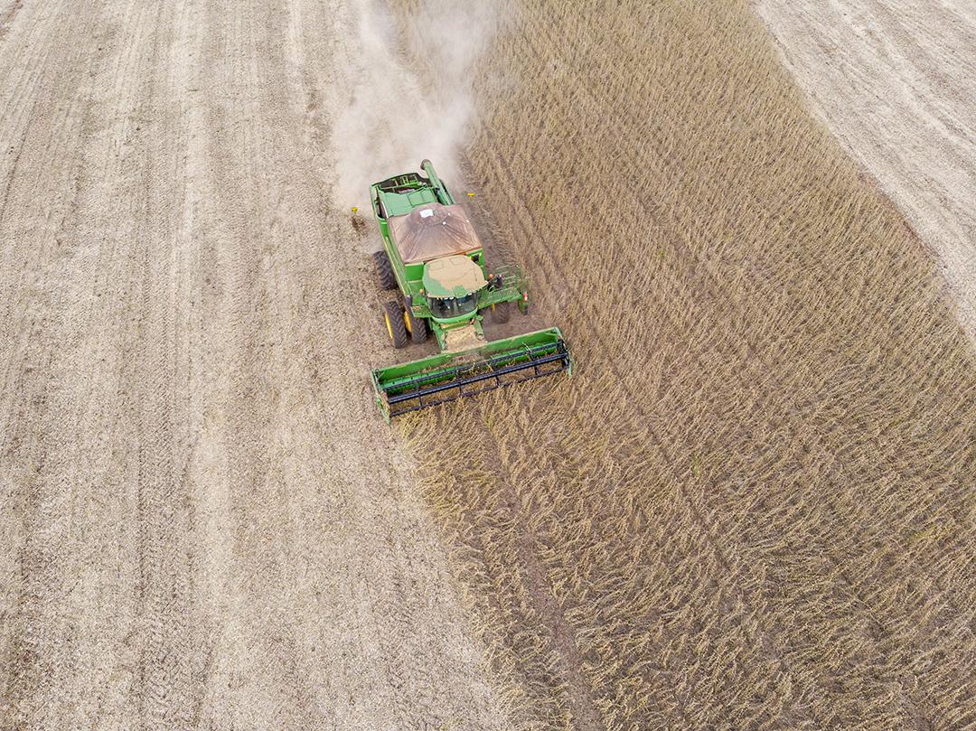 Trator agrícola colhendo soja no campo Imagem JPG