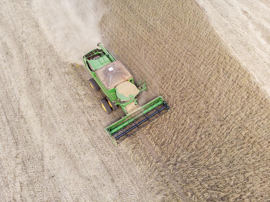 Trator agrícola colhendo soja no campo Imagem JPG
