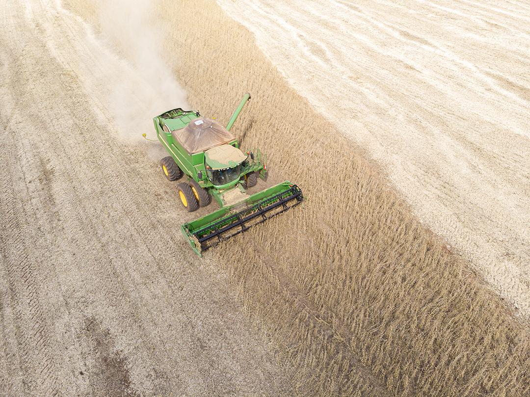 Trator agrícola colhendo soja no campo Imagem JPG