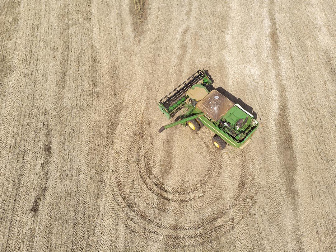 Trator agrícola colhendo soja no campo Imagem JPG