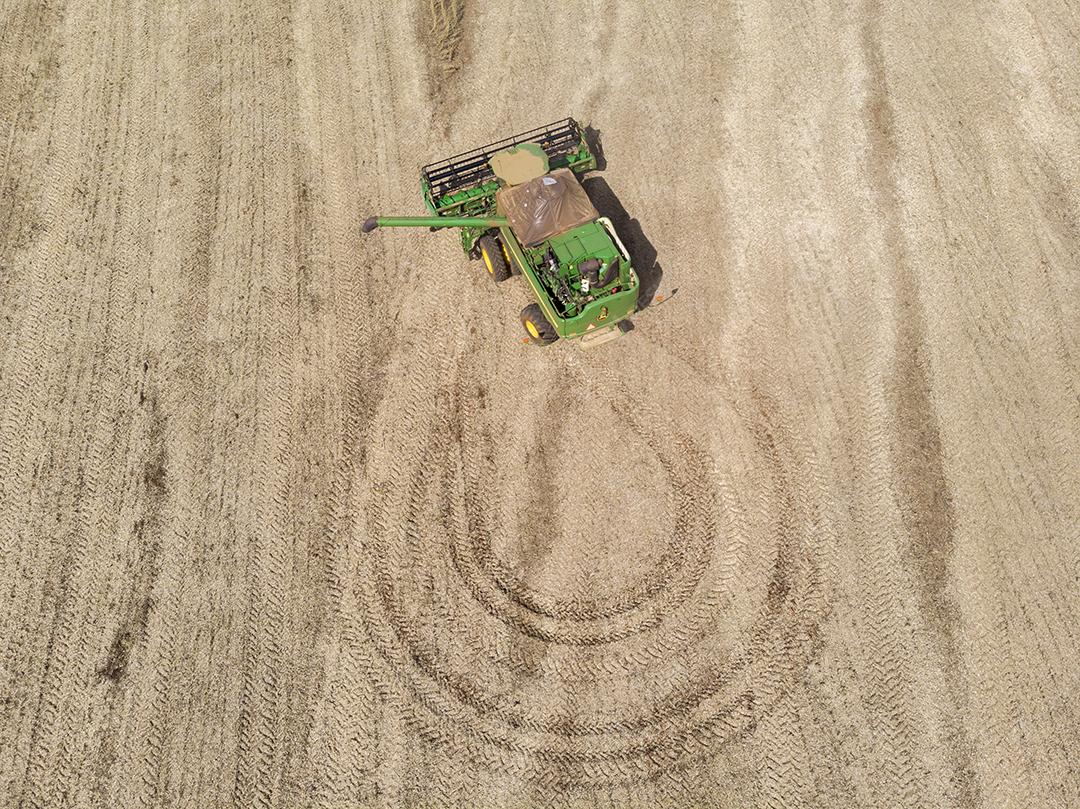 Trator agrícola colhendo soja no campo Imagem JPG