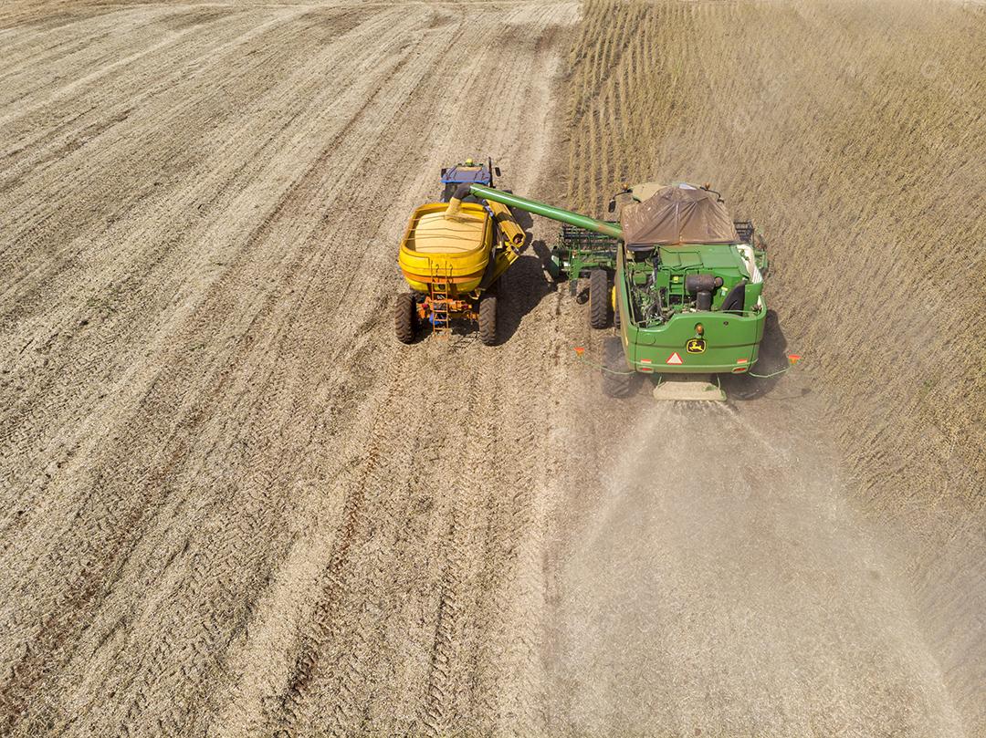 Trator agrícola colhendo soja no campo Imagem JPG