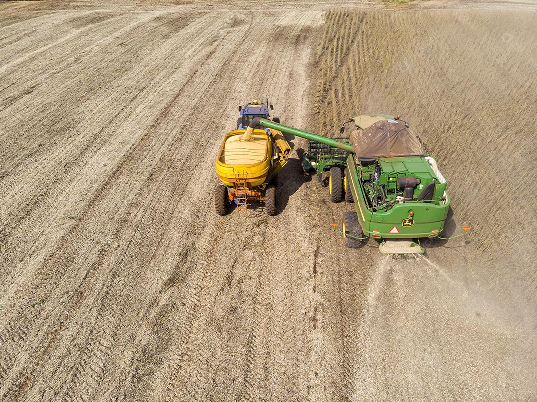 Trator agrícola colhendo soja no campo Imagem JPG