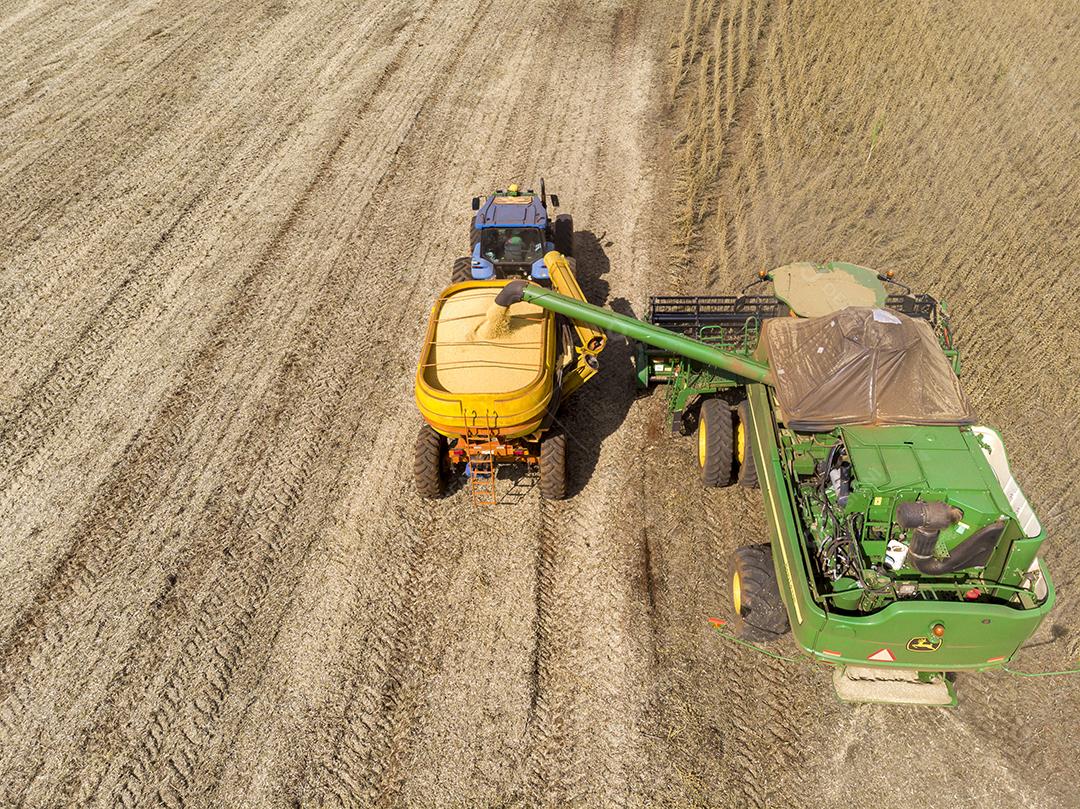 Trator agrícola colhendo soja no campo Imagem JPG