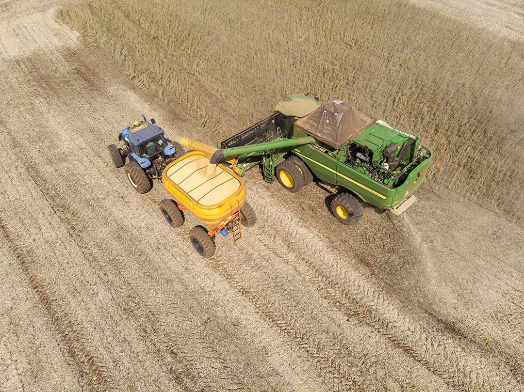 Trator agrícola colhendo soja no campo Imagem JPG
