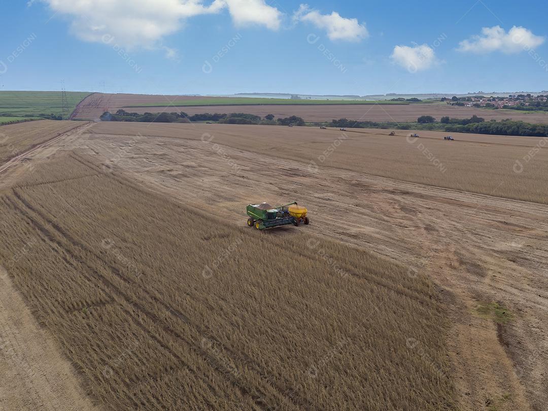 Trator agrícola colhendo soja no campo Imagem JPG
