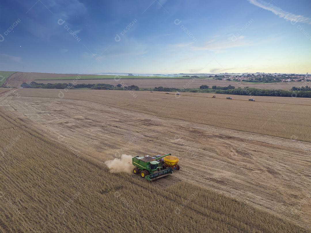 Trator agrícola colhendo soja no campo Imagem JPG