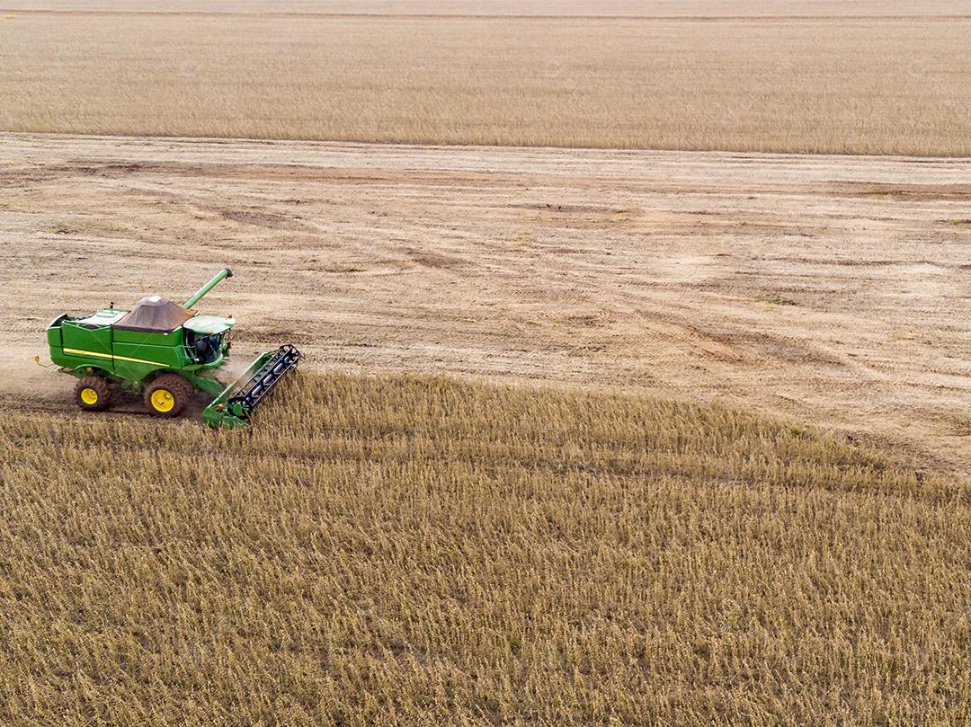 Trator agrícola colhendo soja no campo Imagem JPG
