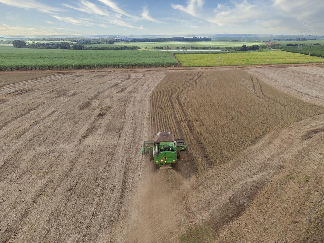 Trator agrícola colhendo soja no campo Imagem JPG