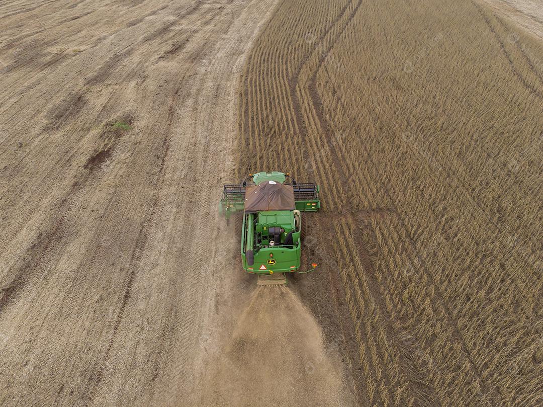 Agricultural tractor harvesting soybeans in the field Image JPG