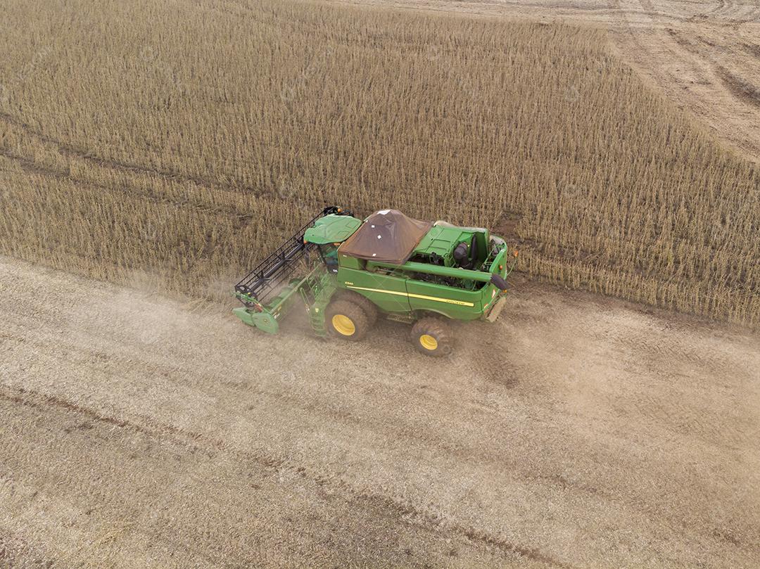 Trator agrícola colhendo soja no campo Imagem JPG
