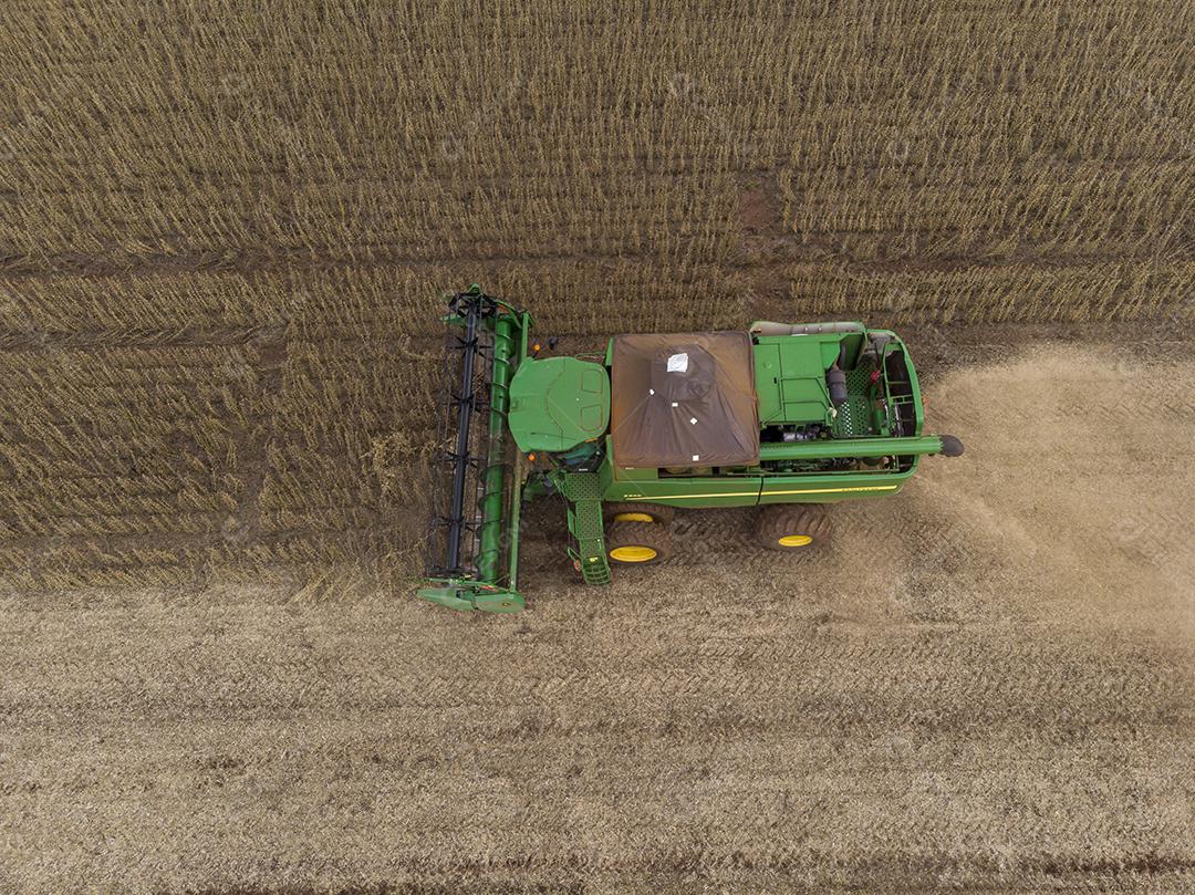 Trator agrícola colhendo soja no campo Imagem JPG
