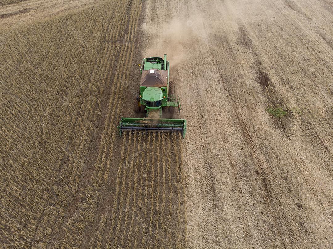 Trator agrícola colhendo soja no campo Imagem JPG