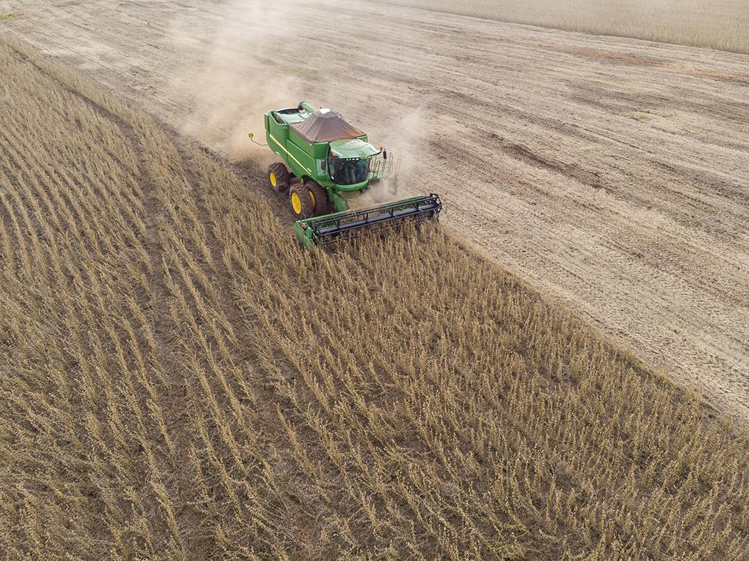 Agricultural tractor harvesting soybeans in the field Image JPG