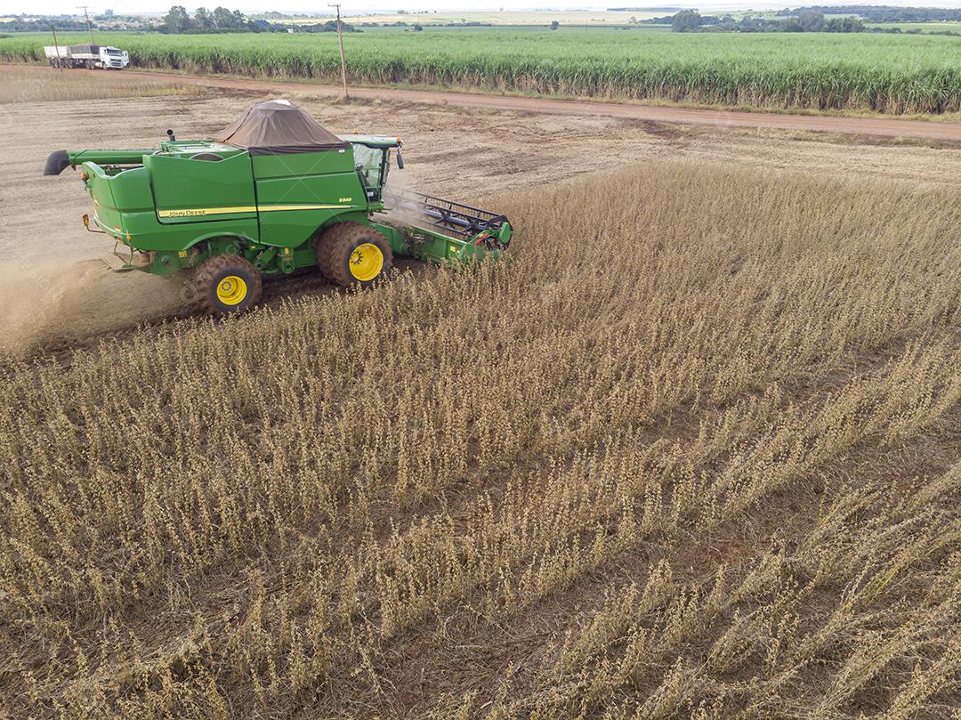Trator agrícola colhendo soja no campo Imagem JPG