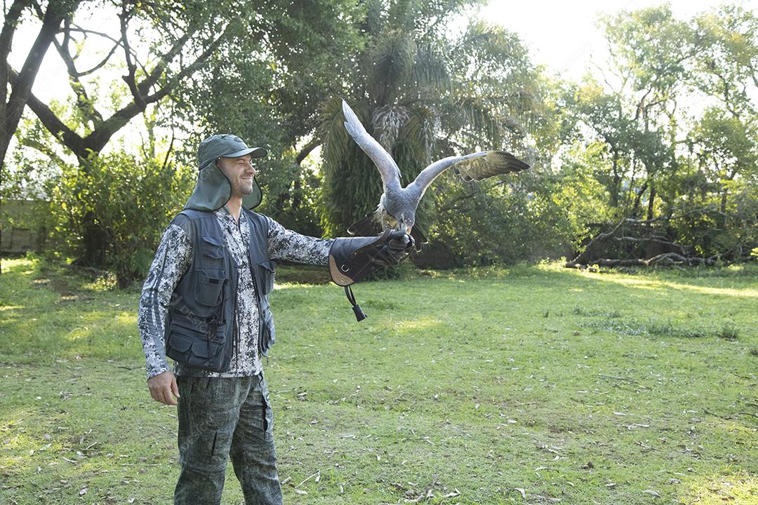 Aguia sobre voando pelo campo passaro aves