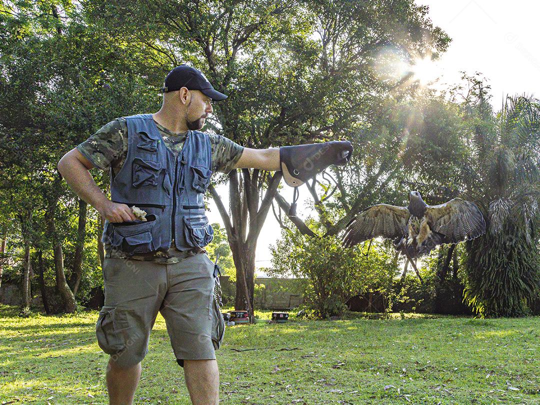 Aguia sobre voando pelo campo passaro aves