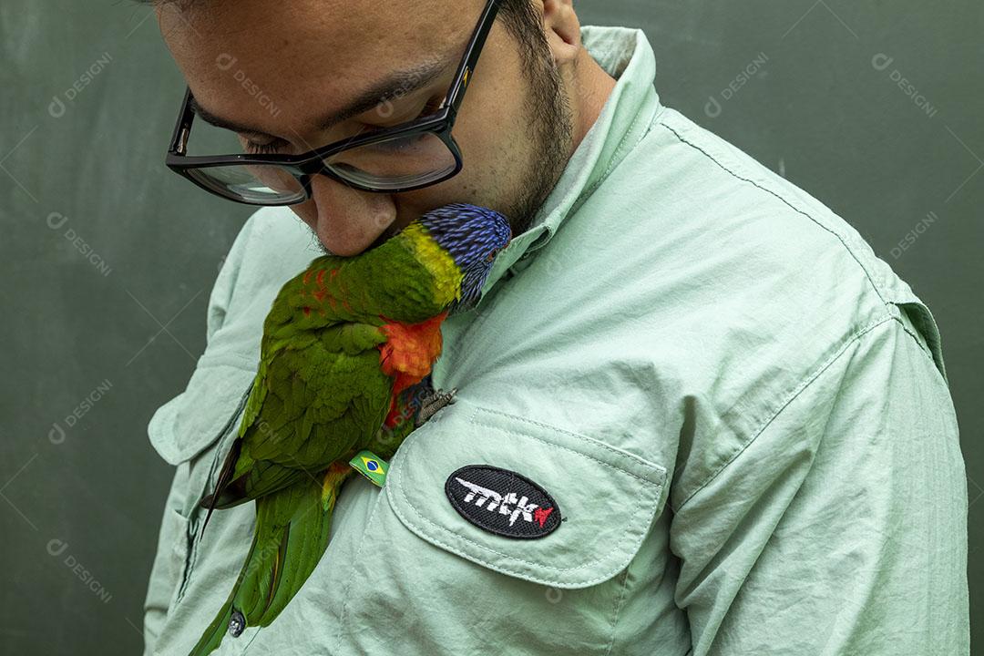 Loriinae aves passaro subindo na roupa do homem Imagem JPG