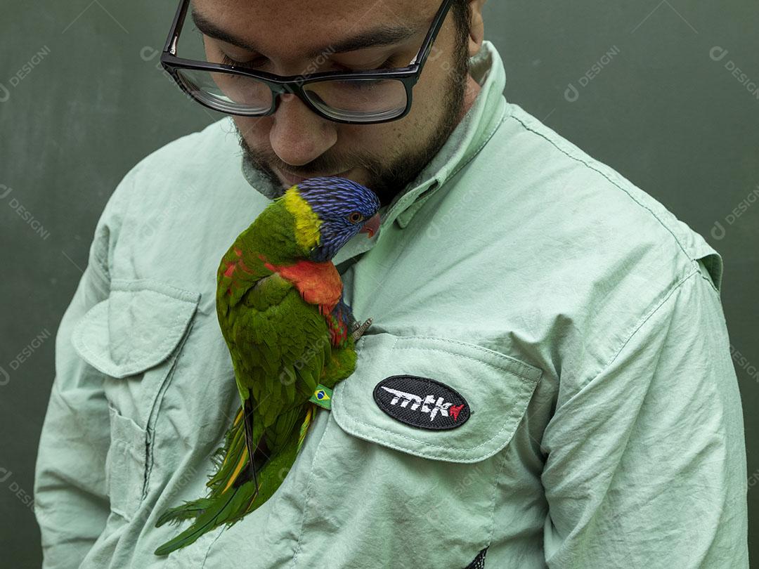 Loriinae aves passaro subindo na roupa do homem Imagem JPG