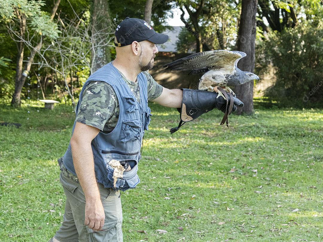 Aguia sobre voando pelo campo passaro aves