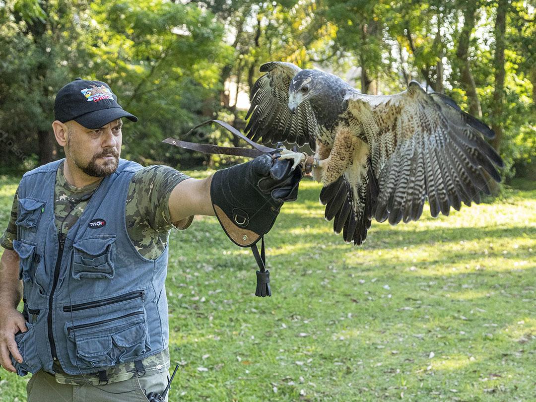 Aguia sobre voando pelo campo passaro aves