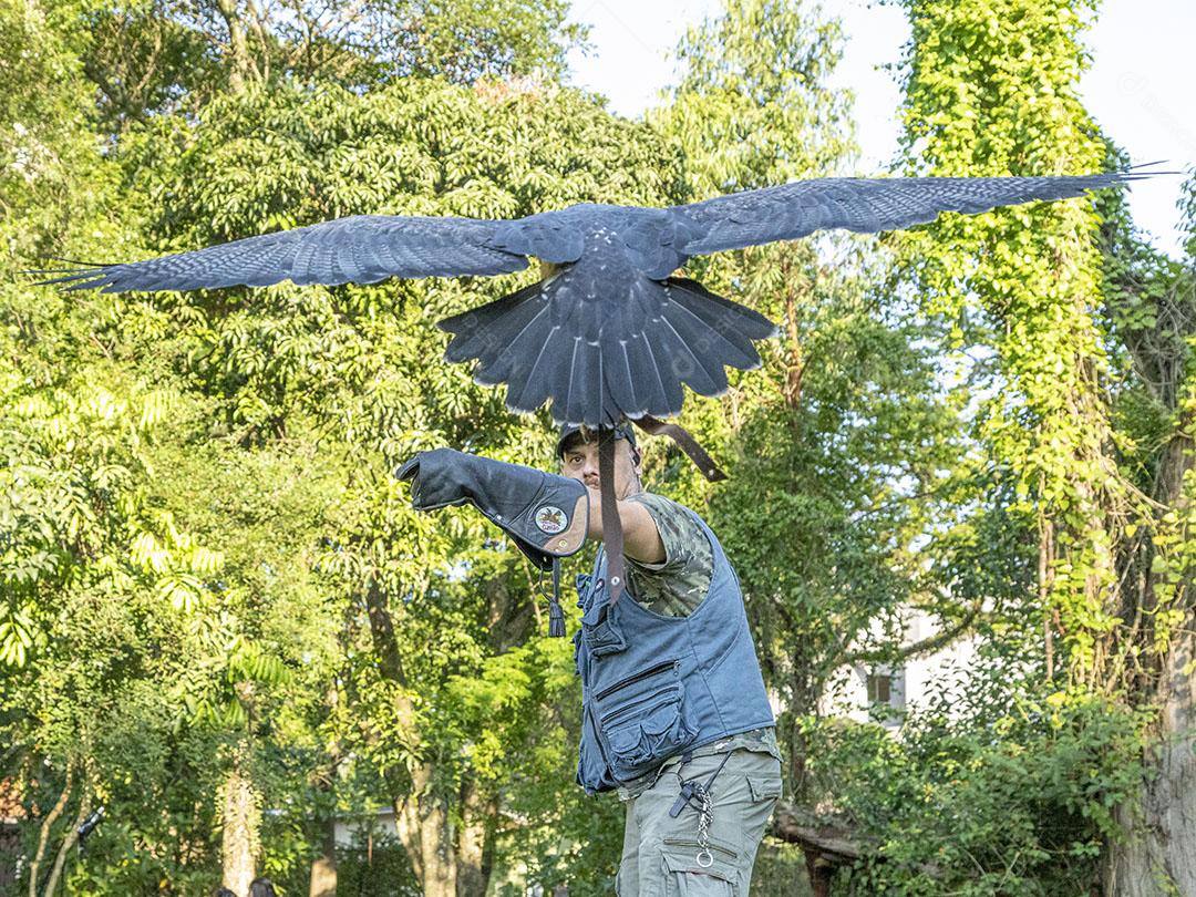 Homem segurando uma aguia passaro aves