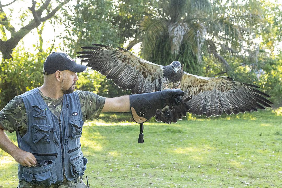 Homem segurando uma aguia passaro aves