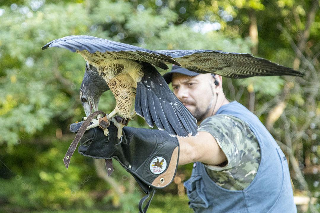 Homem segurando uma aguia passaro aves