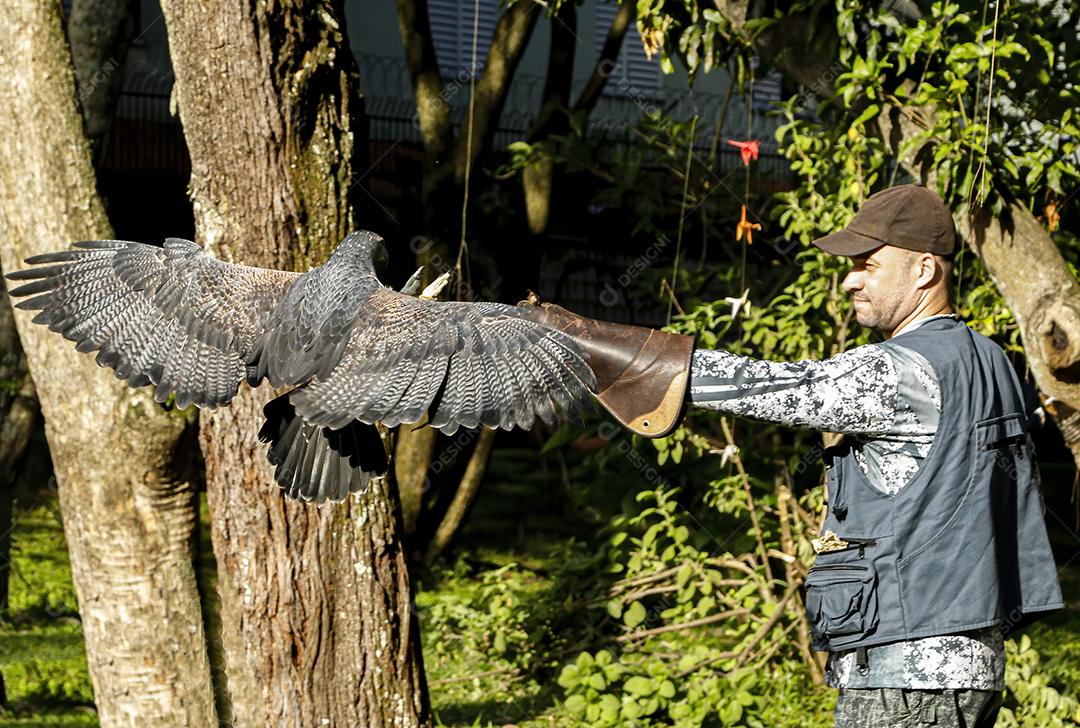 Homem segurando uma aguia passaro aves