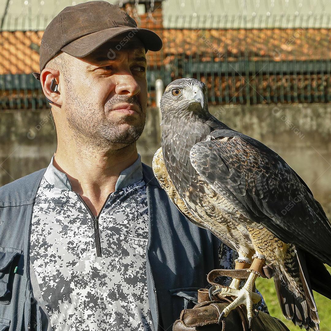 Aguia sobre voando pelo campo passaro aves