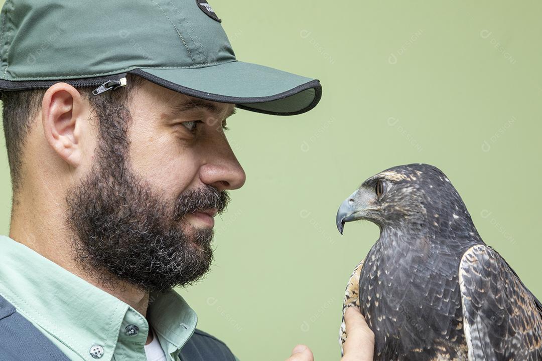 Aguia sobre voando pelo campo passaro aves