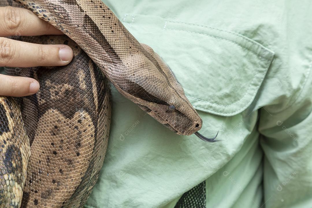 Homem segurando uma serpente