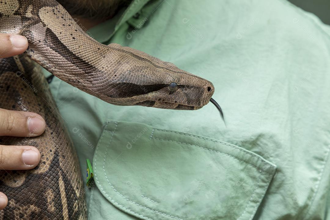 Homem segurando uma serpente