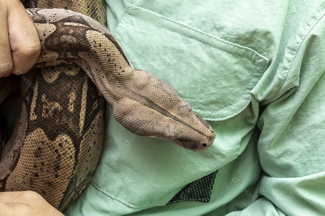 Homem segurando uma serpente