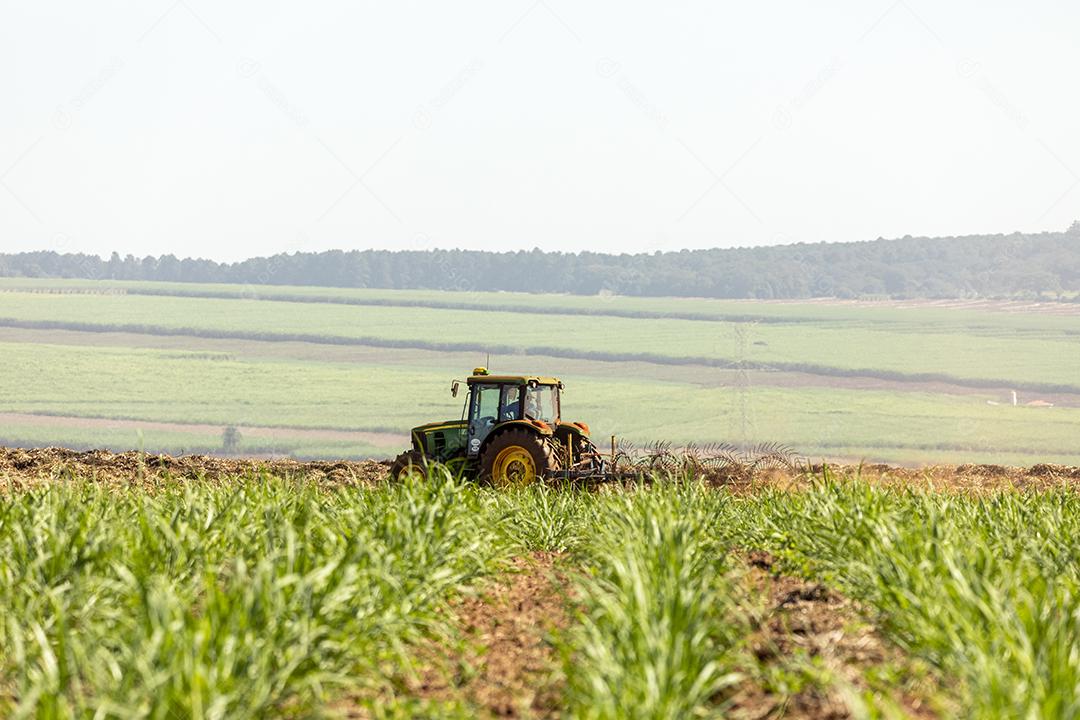 Trator agrícola colhendo soja no campo Imagem JPG