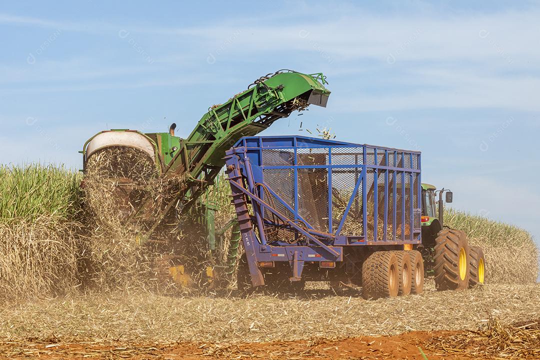 Trator agrícola colhendo soja no campo Imagem JPG