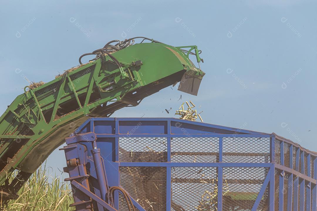 Trator agrícola colhendo soja no campo Imagem JPG