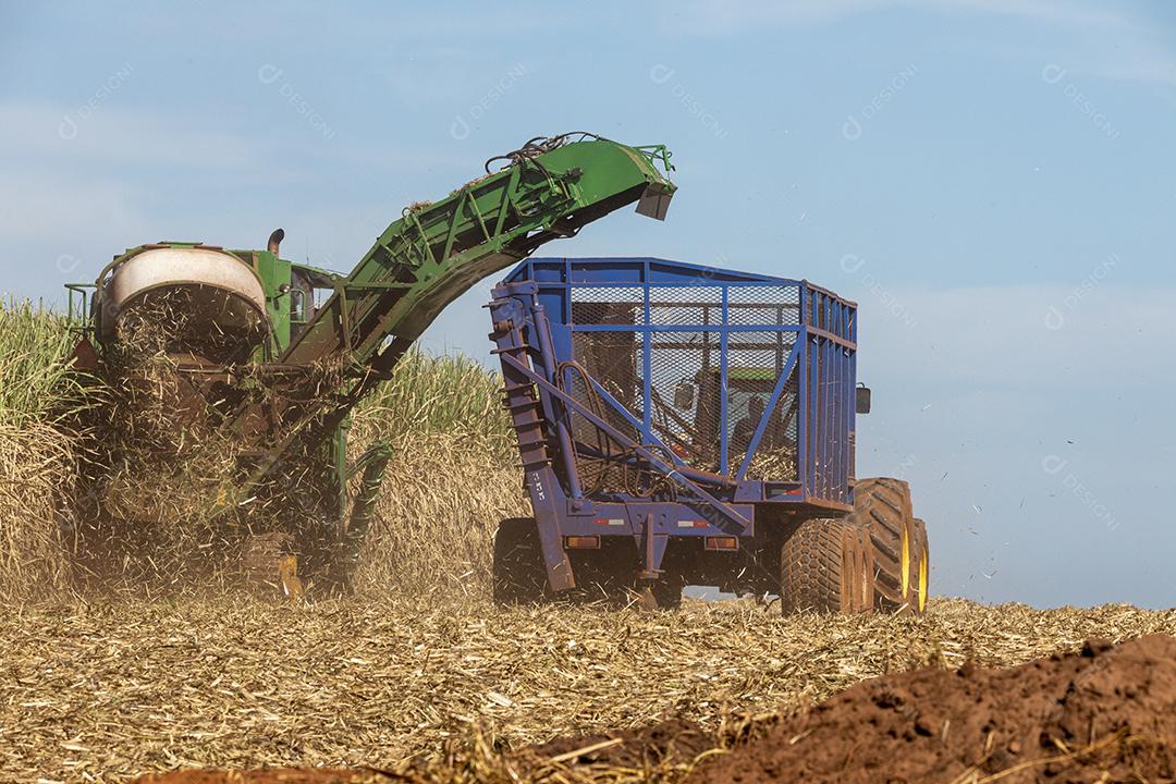 Trator agrícola colhendo soja no campo Imagem JPG