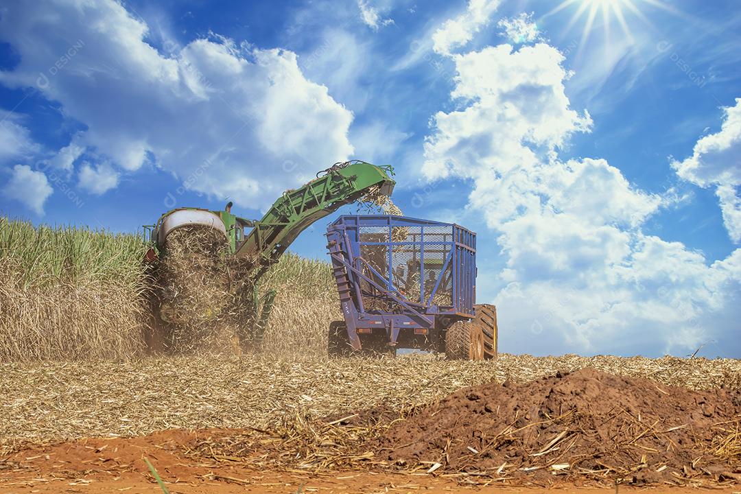 Trator agrícola colhendo soja no campo Imagem JPG