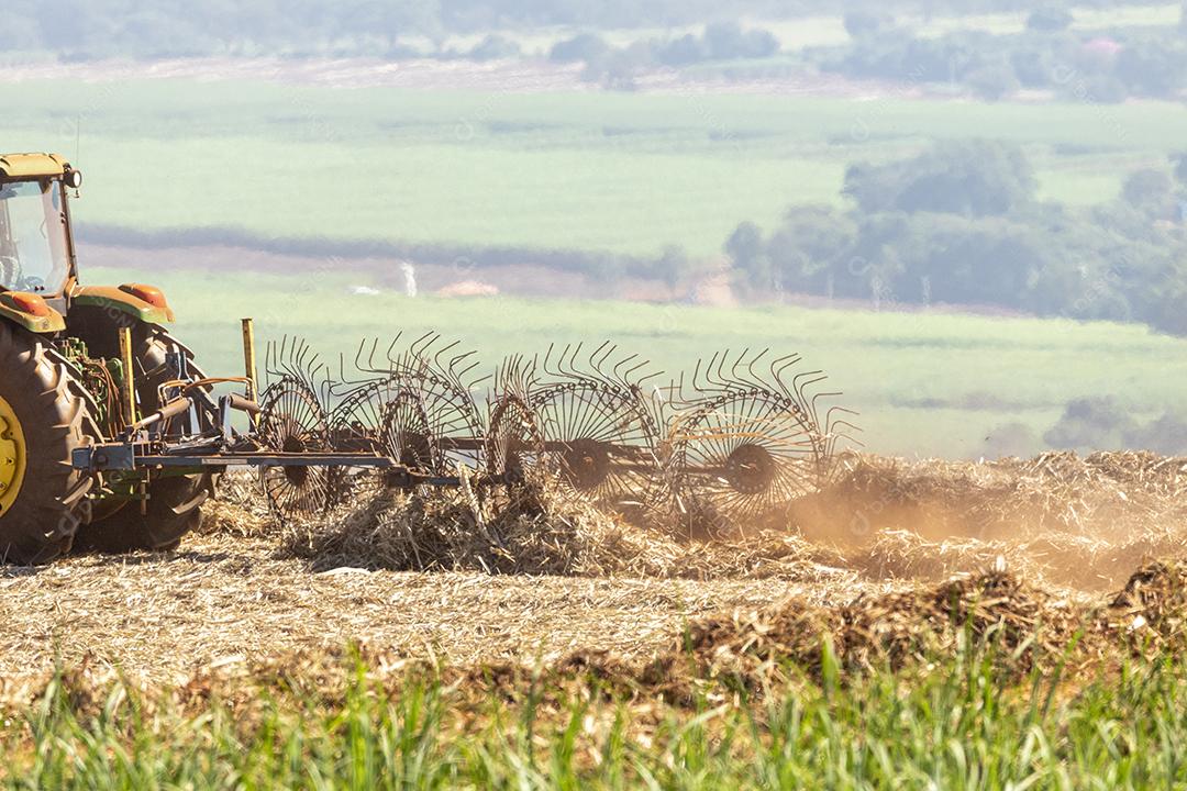 Trator agrícola colhendo soja no campo Imagem JPG