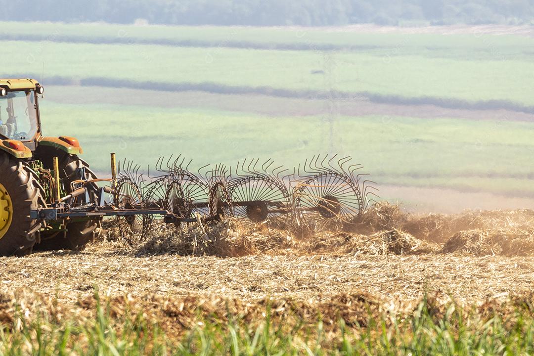 Trator agrícola colhendo soja no campo Imagem JPG