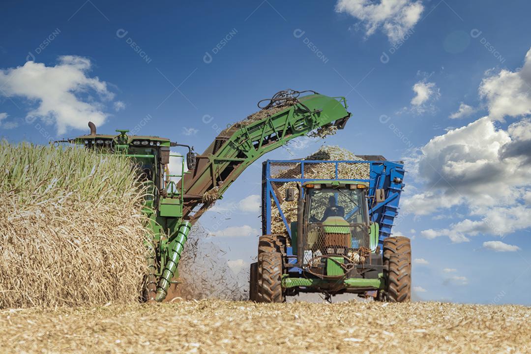 Trator agrícola colhendo soja no campo Imagem JPG