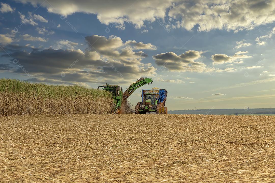 Trator agrícola colhendo soja no campo Imagem JPG