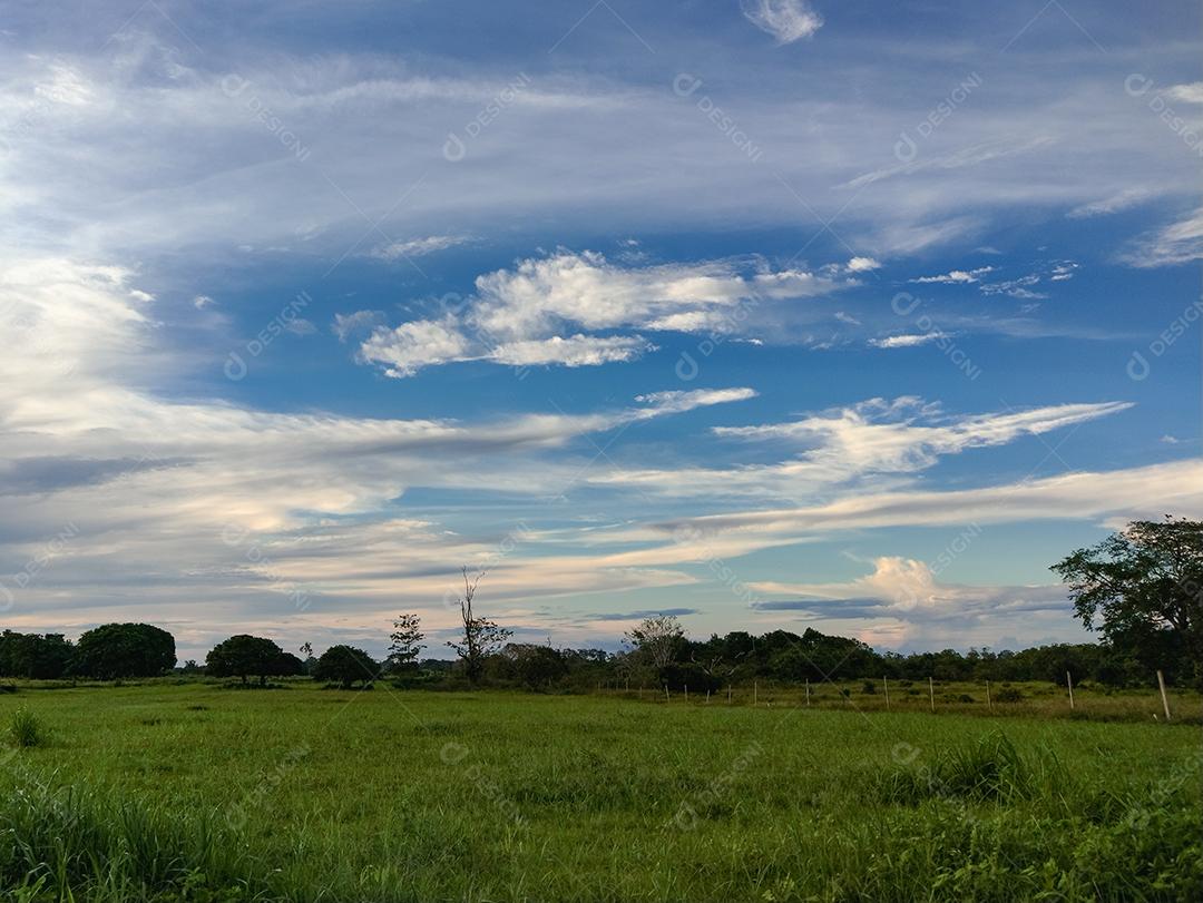 Lindo céu com nuvens em campo esverdeado em Fazenda